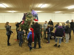 2013 Juletræspyntning